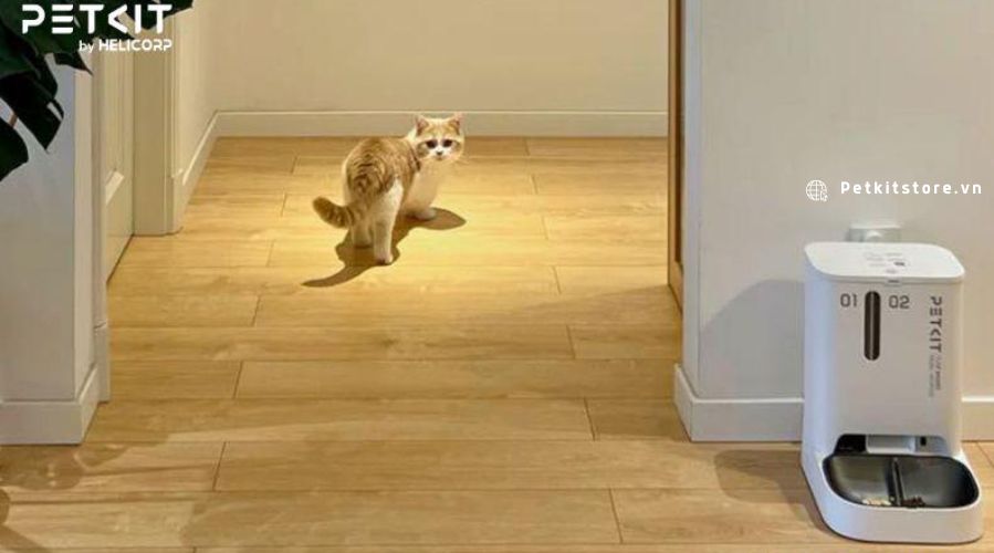 Điều khiển máy ăn Gemini qua ứng dụng PETKIT