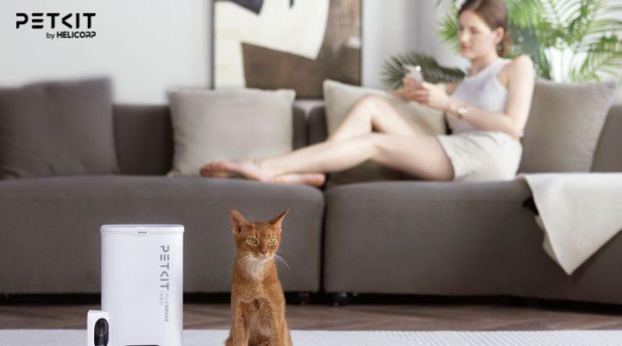 Máy cho mèo ăn tự động là giải pháp ăn uống thông minh cho mèo