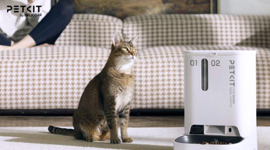 Xác định nhu cầu gia đình và thú cưng để chọn được dòng máy phù hợp với mèo