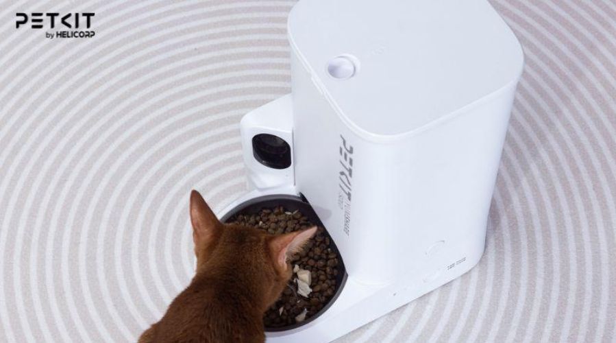 Ưu tiên những dòng máy có dung tích lớn để lưu trữ nhiều hạt hơn