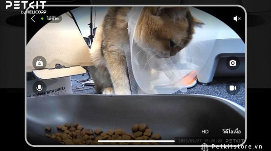 Chọn máy ăn cho mèo có thân máy có thể tháo rời