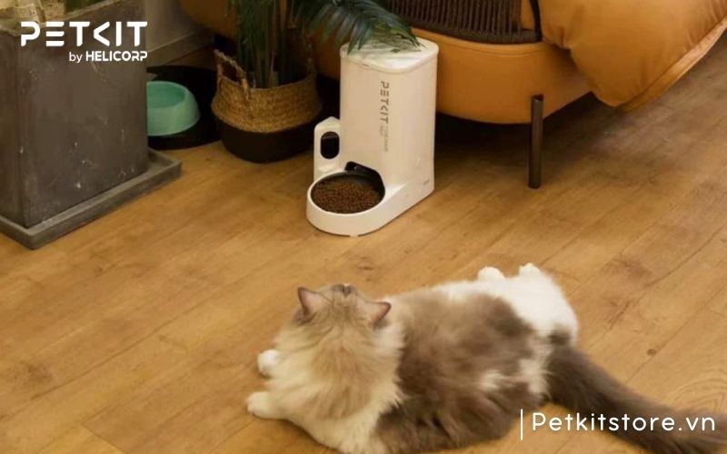 Máy cho mèo ăn tự động PETKIT YUMSHARE SOLO uy tin chính hãng tại PETKIT by HeLiCorp