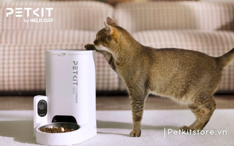 Máy cho mèo ăn tự động PETKIT dễ dàng sử dụng thủ công hoặc thông qua App