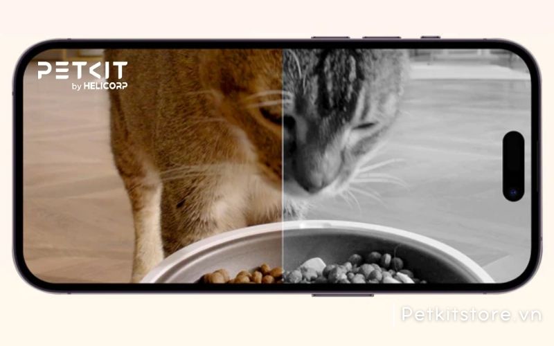 Theo dõi hoạt động ăn uống của thú cưng thông qua camera AI