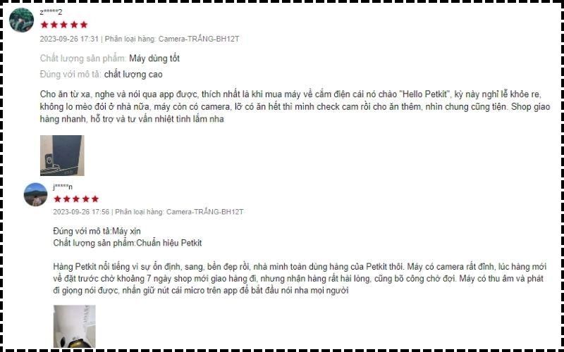 Máy cho mèo ăn tự động mang đến cho mèo những bữa ăn đúng giờ hơn