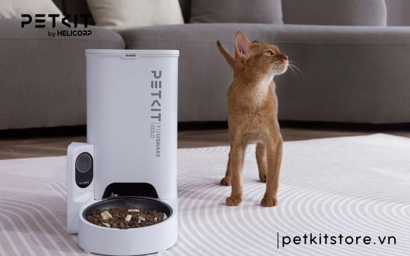 Máy cho thú cưng ăn có Camera PETKIT YumShare Solo