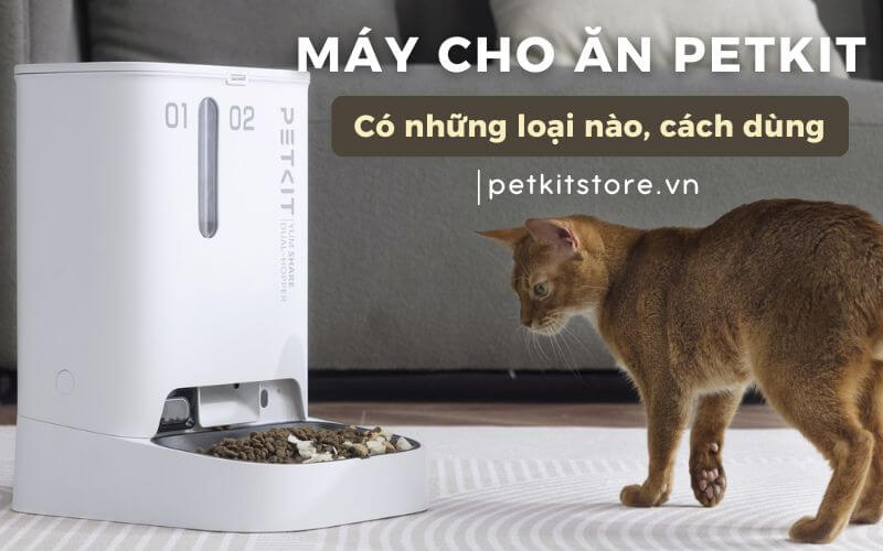 Phân loại các dòng máy cho thú cưng ăn tự động Petkit