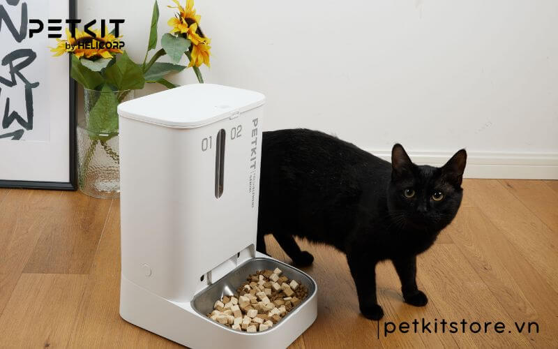 Máy cho thú cưng ăn Petkit là gì?