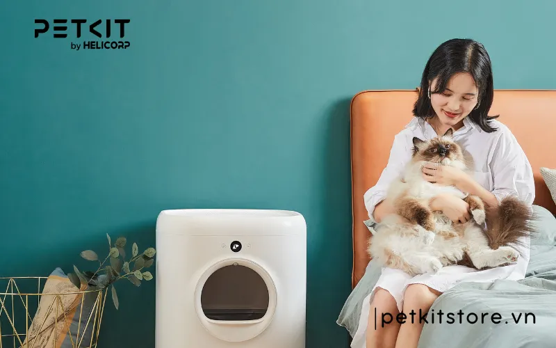 Máy dọn phân mèo là gì?