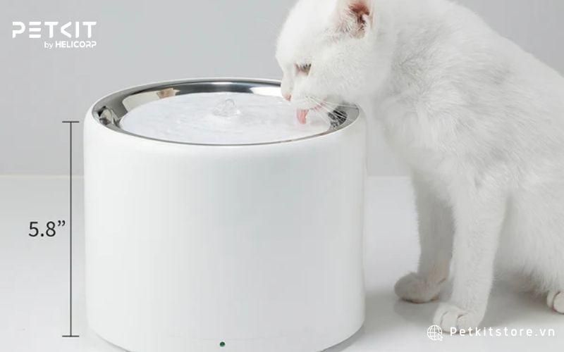 Với chiều cao 5,8cm nên máy lọc nước dễ dàng sử dụng cho các bé mèo