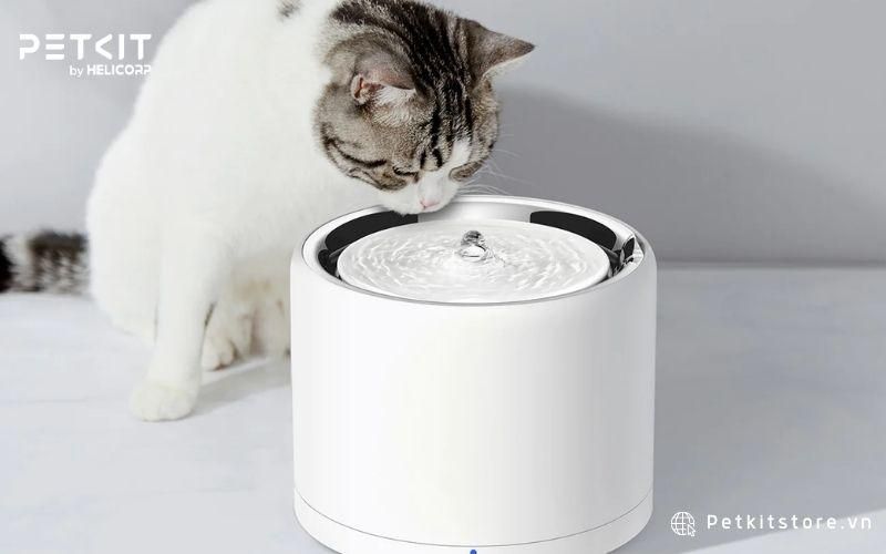 Mèo uống dòng nước tinh khiết từ máy lọc nước cho mèo PETKIT EVERSWEET 7 UVC