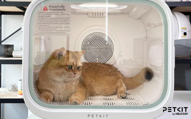 Ngoại hình hiện đại - tiện lợi của máy sấy lông mèo PETKIT AirSalon Max