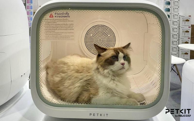 Hệ thống luông gió an toàn với máy sấy lông mèo PETKIT AirSalon Max