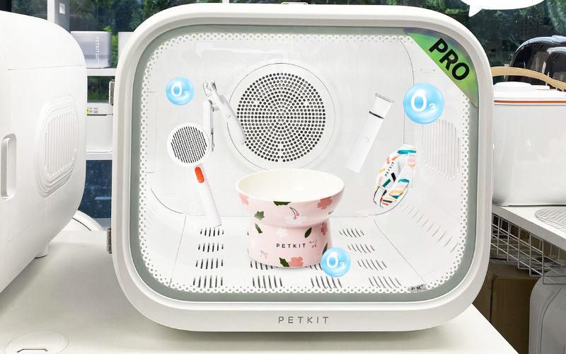 Khử khuẩn đồ dùng thú cưng nhanh chóng