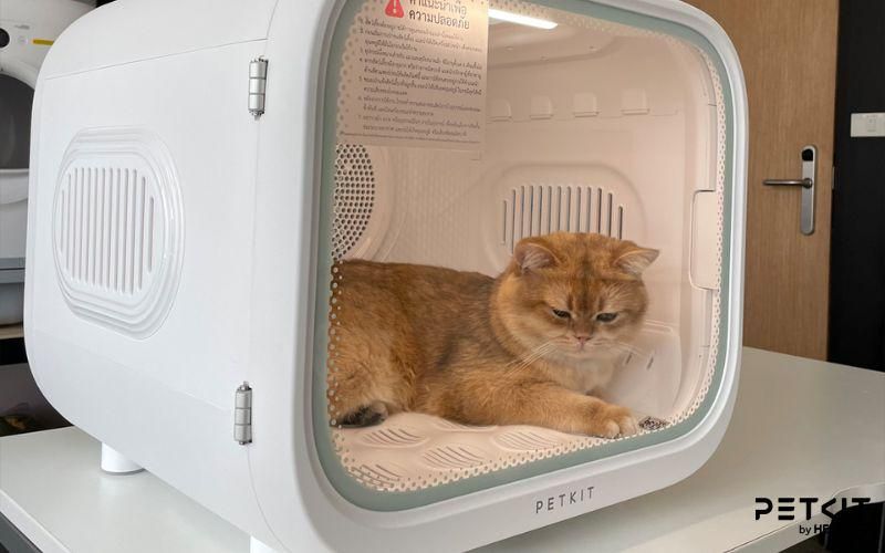 PETKIT AirSalon Max - Máy sấy lông mèo tiện lợi