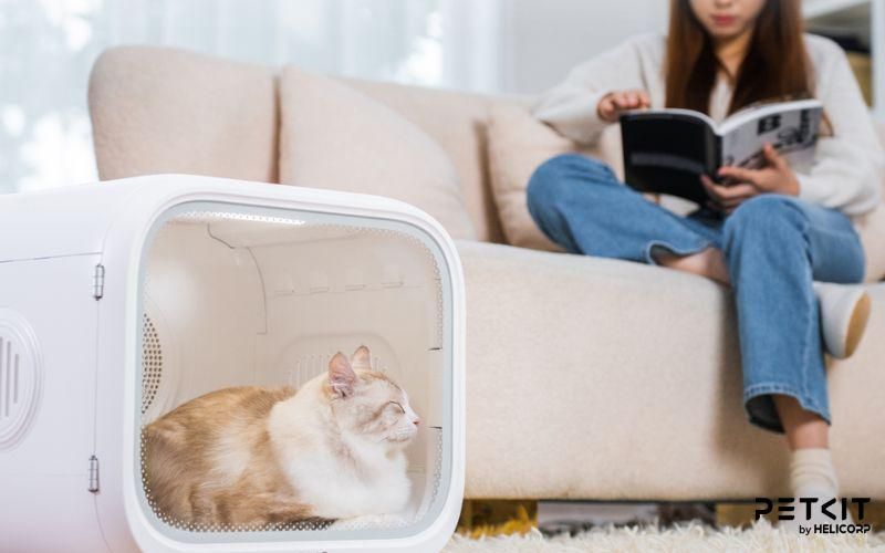 PETKIT AirSalon Max, máy sấy lông mèo thích hợp với mọi thú cưng và gia đình