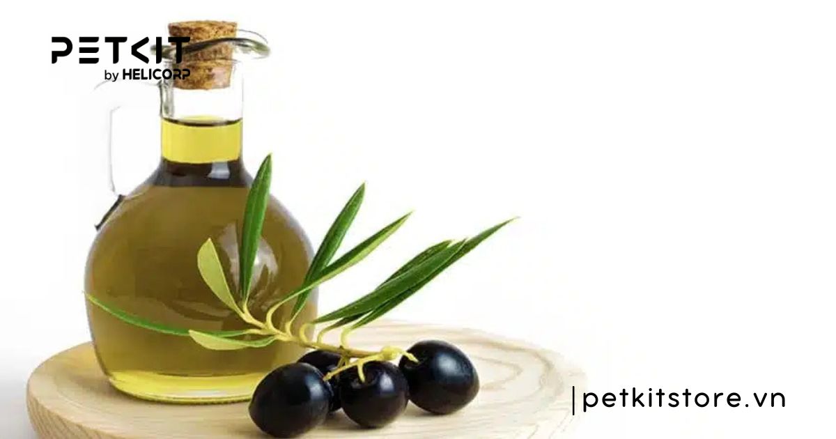 mèo bị dính keo dán chuột