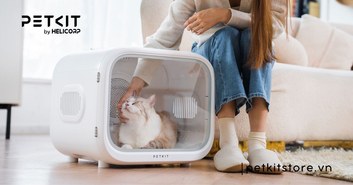 Mèo bị ghẻ ở cổ do đâu