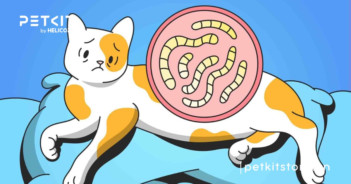 mèo bị giun sán có lây sang người không