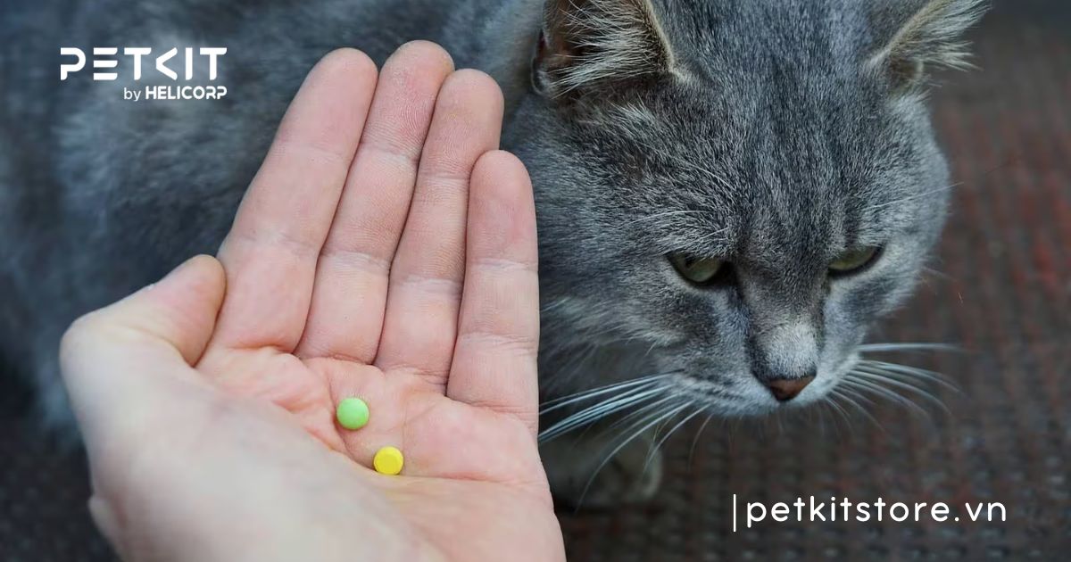 mèo bị giun sán có lây sang người không