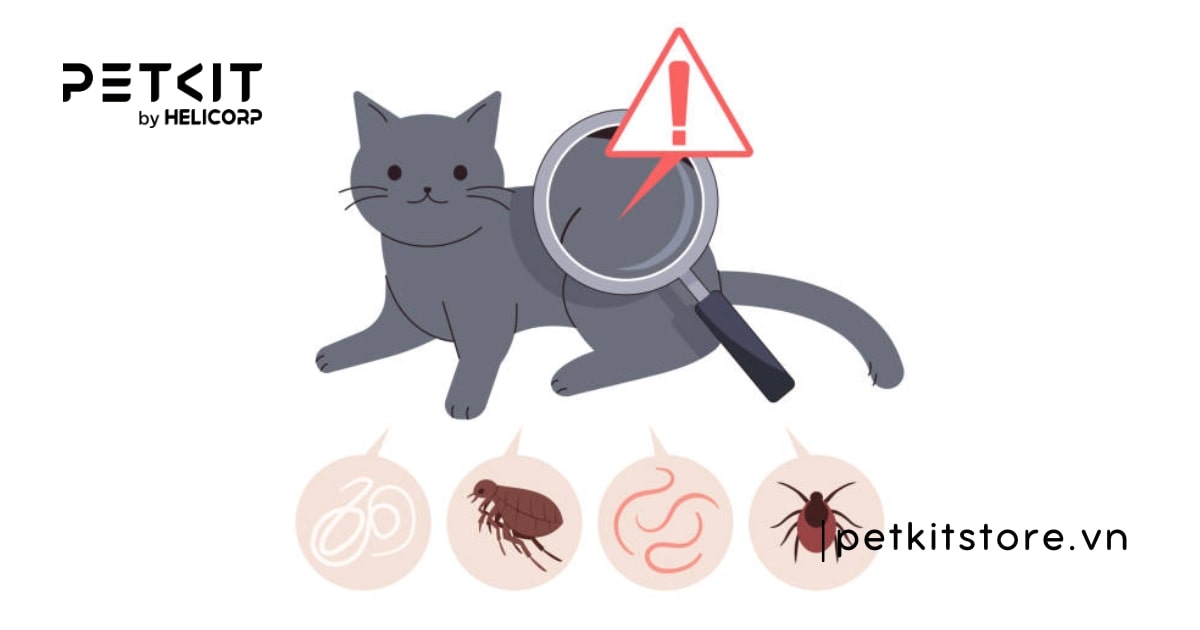 Mèo bị giun sán phải làm sao