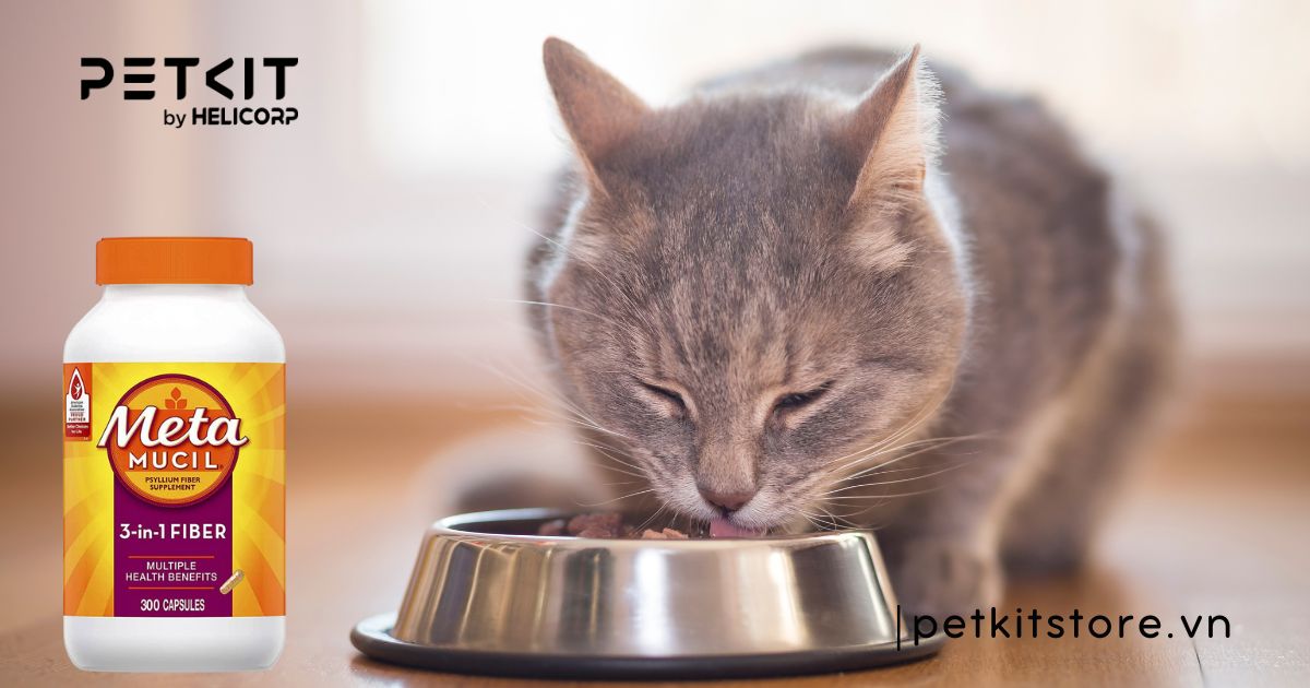 Mèo bị tiêu chảy