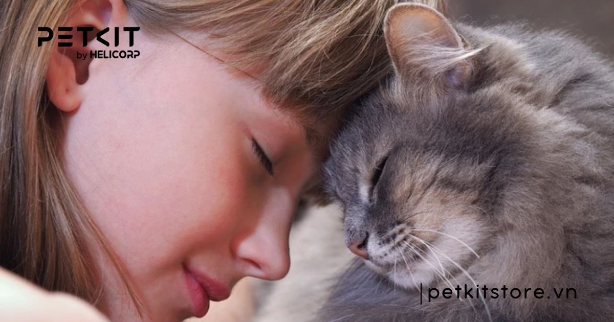 Mèo có bị cảm lạnh không