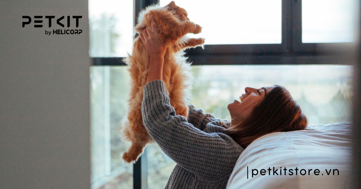 mèo đắt nhất thế giới