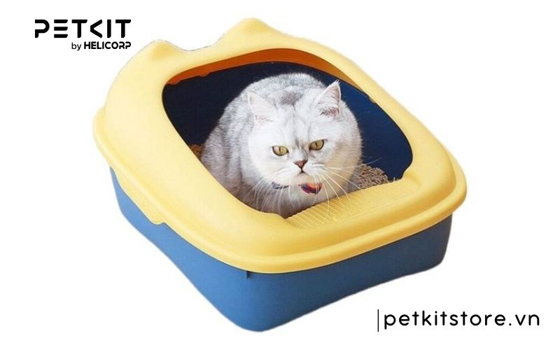 Cát mèo có bón cây được không