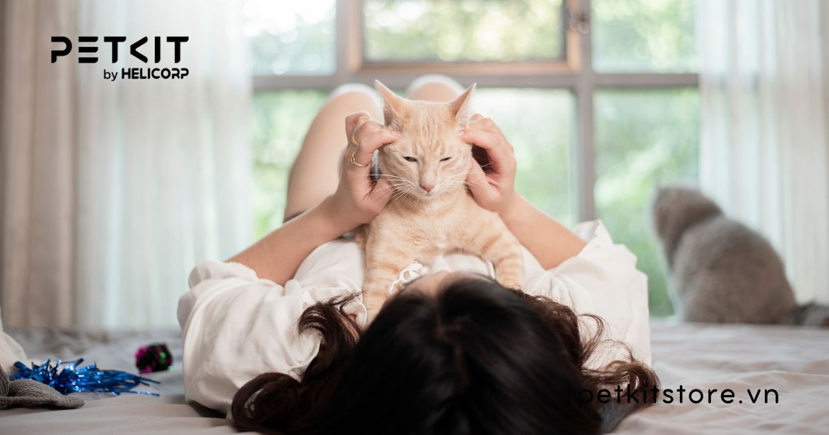 Mèo ị ra tóc nguy hiểm không