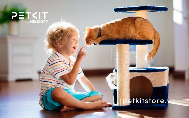 mèo không ăn bao lâu thì chết