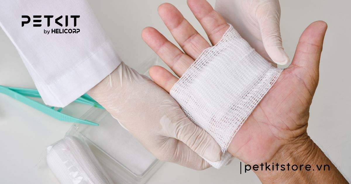 Mèo không bị dại cắn có sao không