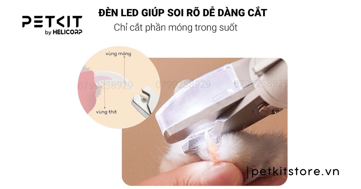 Mèo không bị dại cắn có sao không