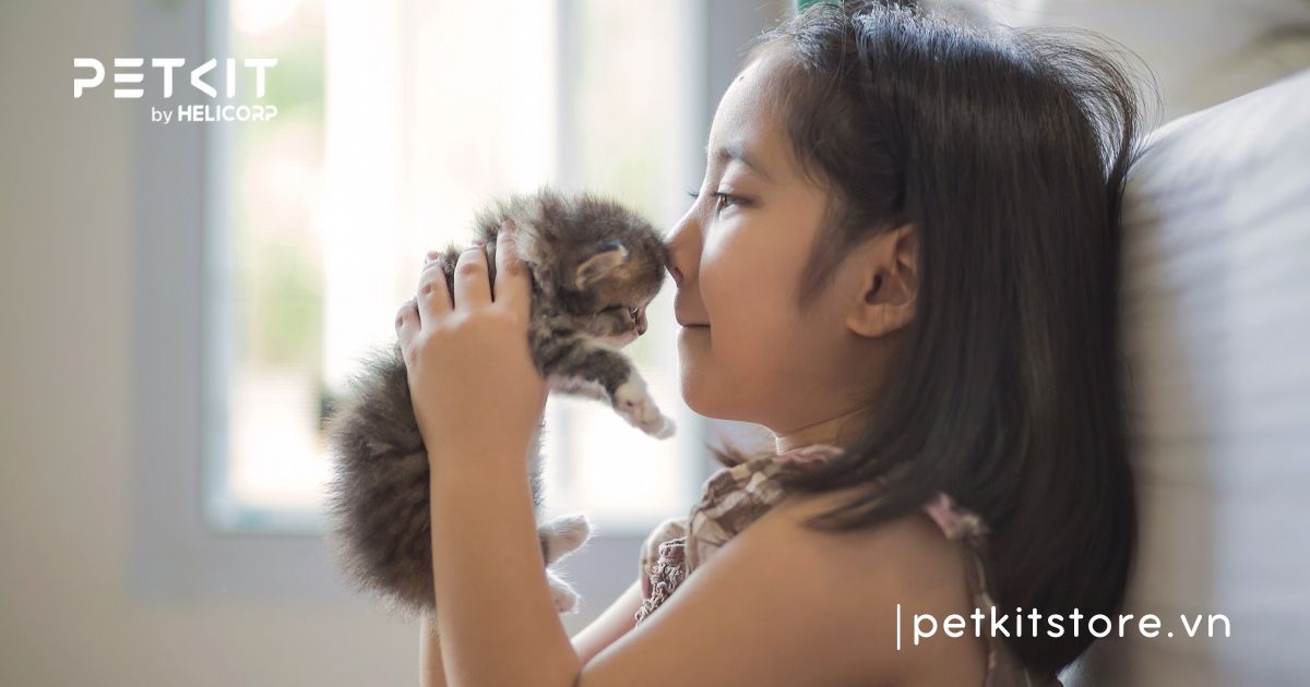 mèo mới về nhà nên làm gì