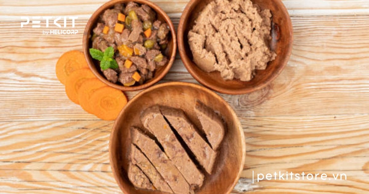 Mèo uống nước máy được không