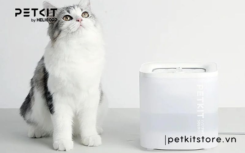 sửa máy lọc nước cho chó mèo Petkit