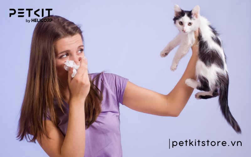 hít lông mèo có sao không