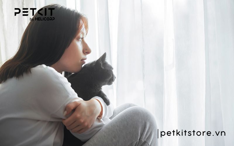 hít lông mèo có sao không