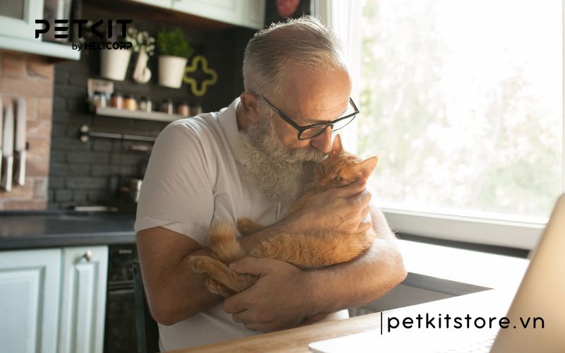 hít lông mèo có sao không