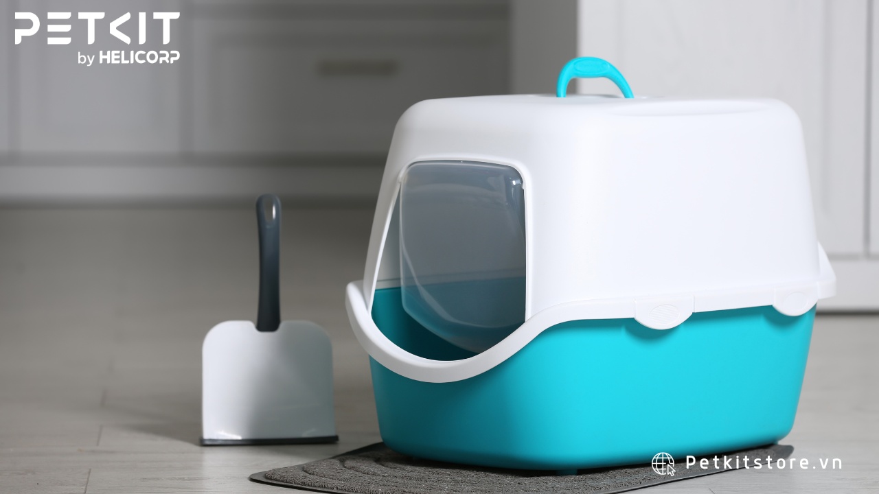Nhà vệ sinh mèo có nắp đậy