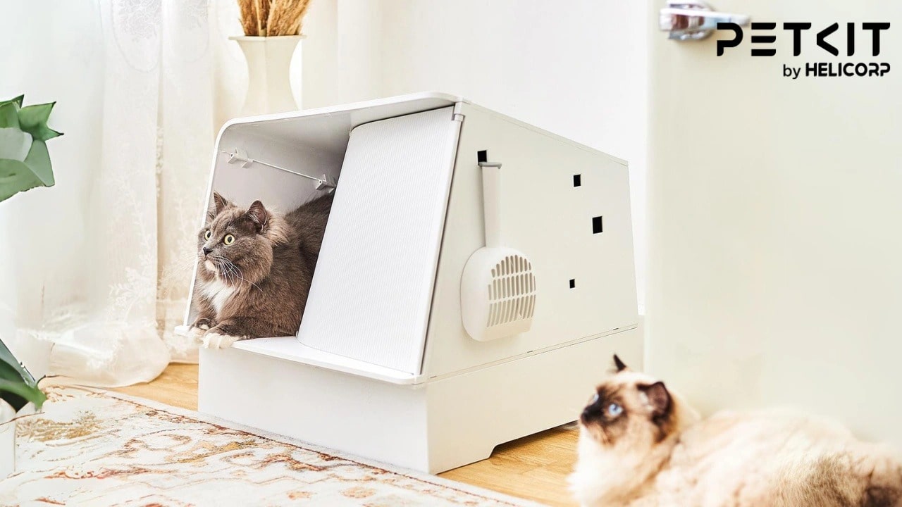 Nhà Vệ Sinh Cho Mèo