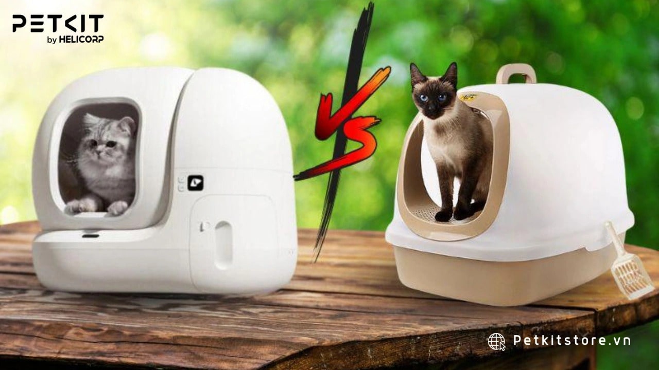 Nhà vệ sinh tự động cho mèo