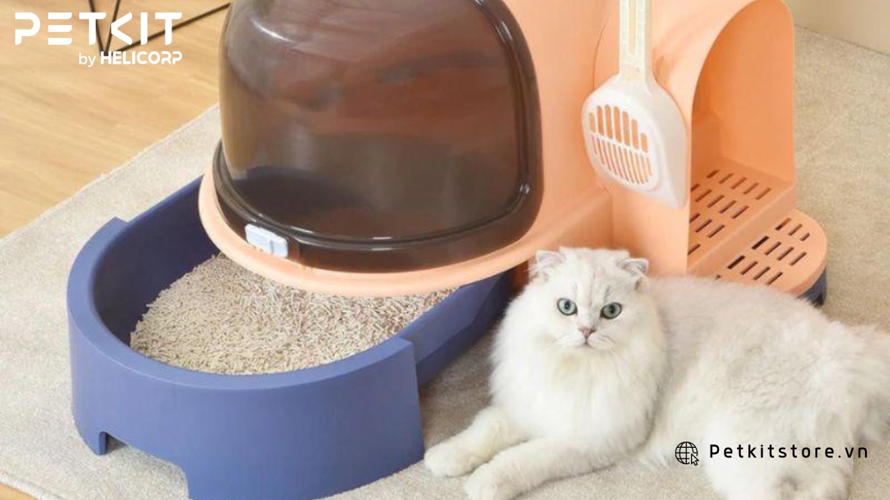 Nhà vệ sinh thông thường giá rẻ, ít chức năng