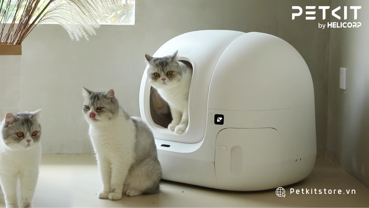 Nhà vệ sinh tự động mang lại nhiều lợi ích tuyệt vời cho Boss