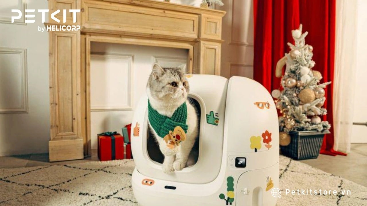 Nhà vệ sinh tự động cho mèo