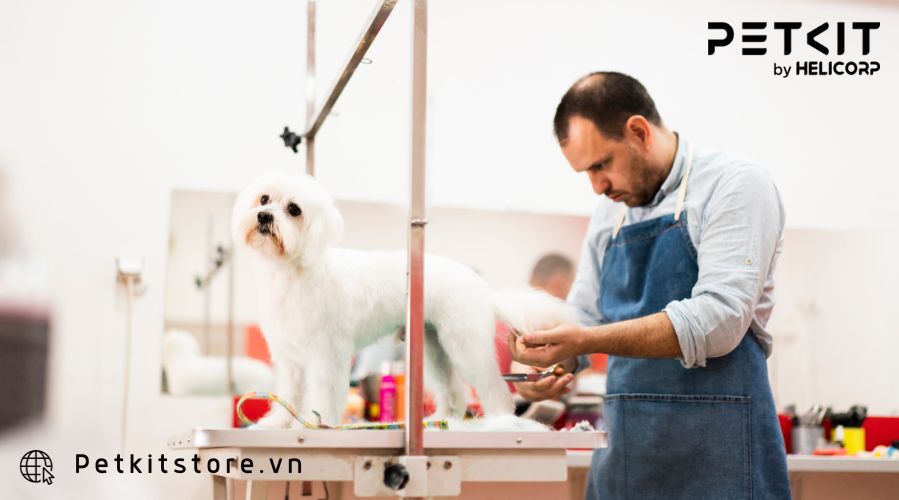 lợi ích khi nuôi thú cưng