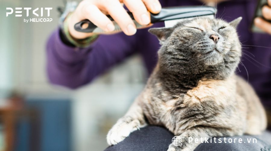 lợi ích khi nuôi thú cưng