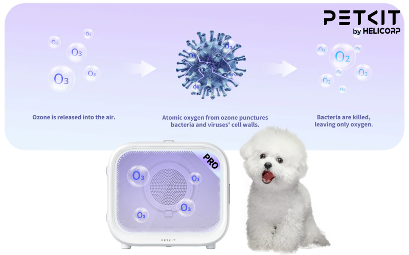lồng sấy lông chó mèo PETKIT AirSalon Max Pro