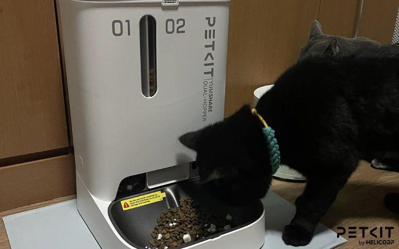 Máy nhả hạt tự động PETKIT - Lên lịch trình ăn uống khoa học cho thú cưng