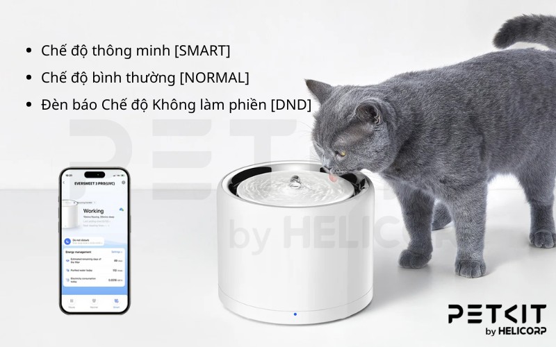 Máy lọc nước PETKIT EverSweet 3 Pro UVC (SOLO 7)